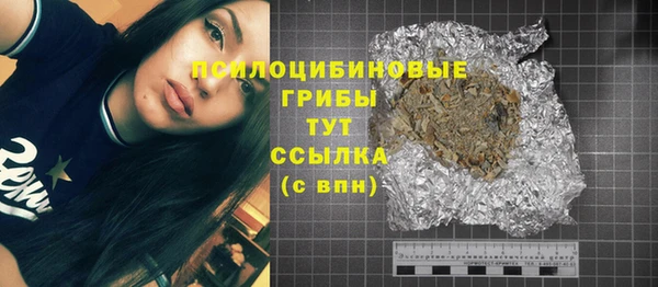 ПСИЛОЦИБИНОВЫЕ ГРИБЫ Киренск